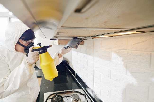 Nettoyage Hotte de Cuisine Professionnel Airnord Bourgogne Franche-Comté